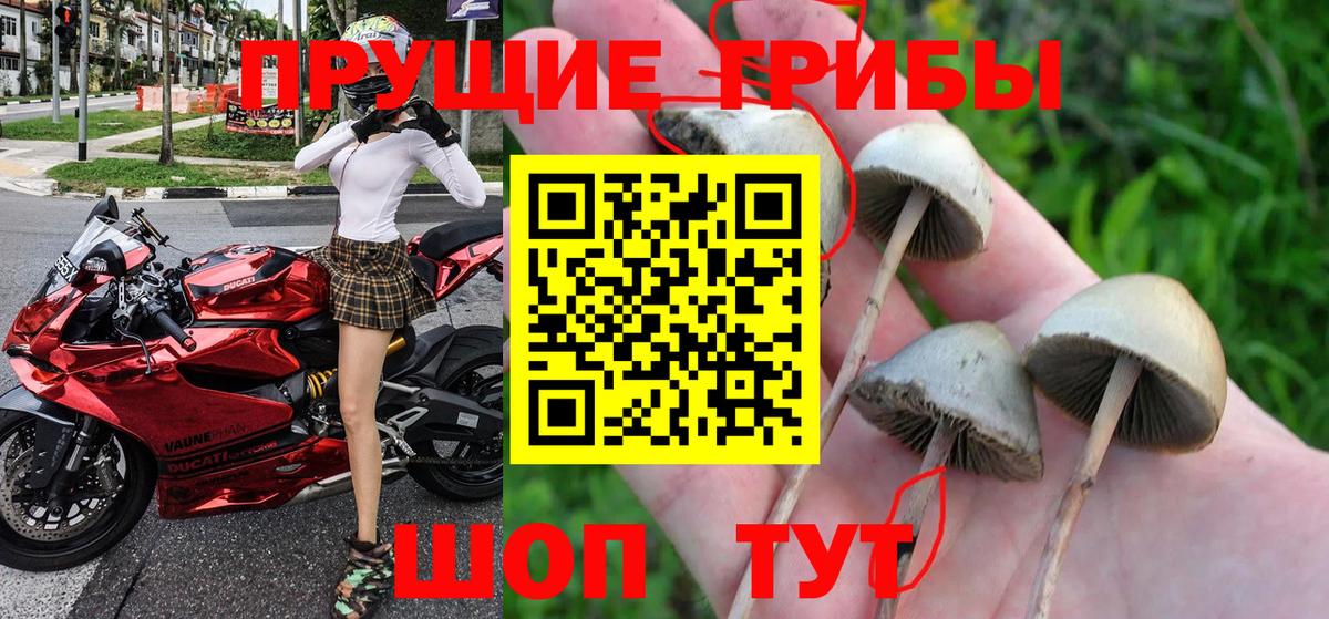 Галлюциногенные грибы ЛСД Саранск