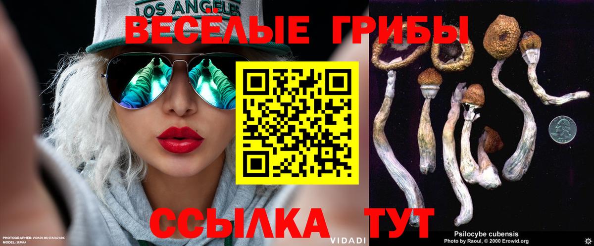 как найти закладки  Саранск  Псилоцибиновые грибы MAGIC MUSHROOMS  Галлюциногенные грибы MAGIC MUSHROOMS 