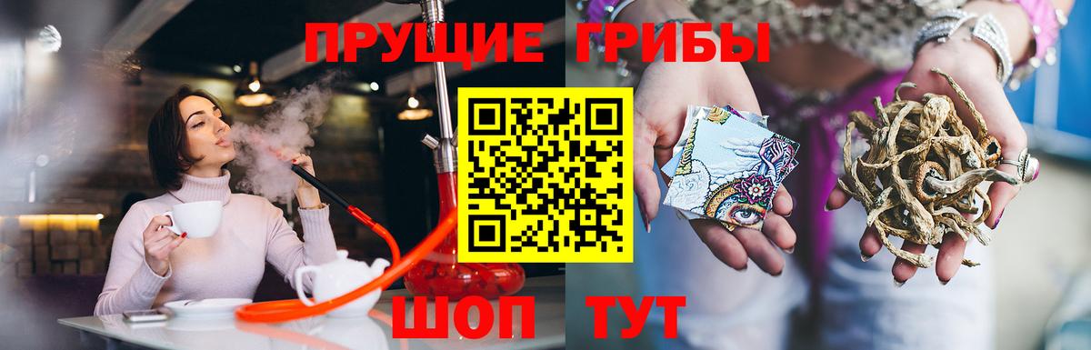 Псилоцибиновые грибы MAGIC MUSHROOMS Саранск