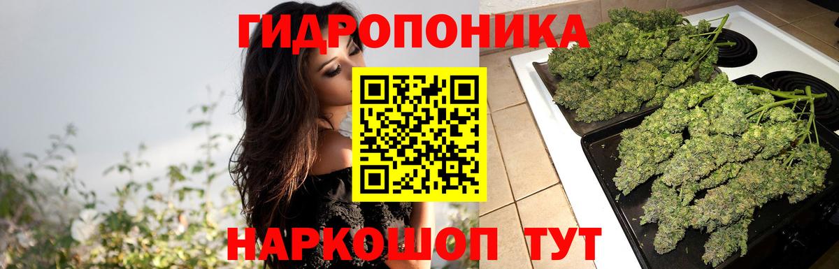 Саранск  Канабис план  Вход с VPN  Шишки марихуана план  Шишки марихуана VHQ 